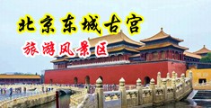 黄色网站,野中国北京-东城古宫旅游风景区